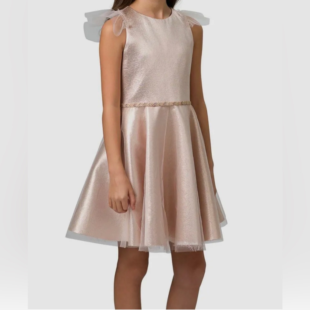 Like New! Zoe Ltd Girl's Pink Metallic Tulle Sleeveless Braided Dress - Size 4